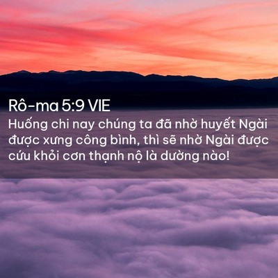 Picture 02 - Rô-ma 5:9 VIE - Huống chi nay chúng ta đã nhờ huyết - Bible Verse Picture