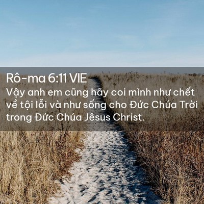 Picture 02 - Rô-ma 6:11 VIE - Vậy anh em cũng hãy coi mình như chết - Bible Verse Picture