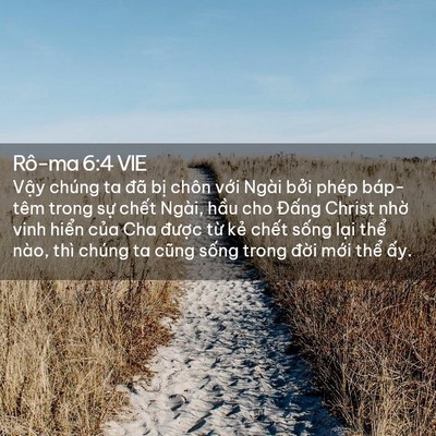 Picture 02 - Rô-ma 6:4 VIE - Vậy chúng ta đã bị chôn với Ngài bởi - Bible Verse Picture
