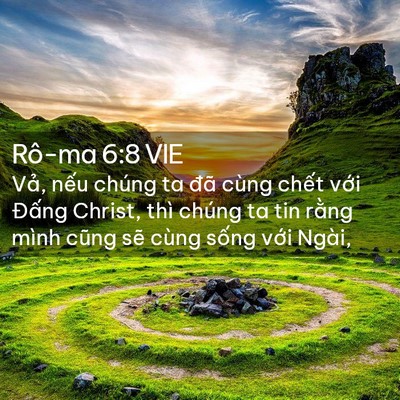 Picture 02 - Rô-ma 6:8 VIE - Vả, nếu chúng ta đã cùng chết với - Bible Verse Picture