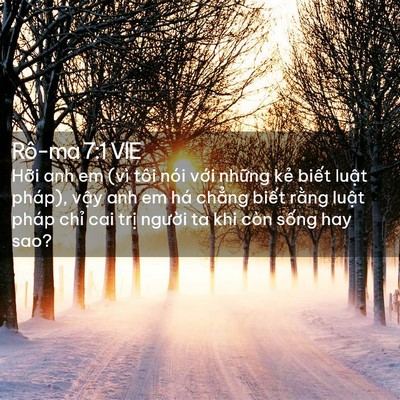 Picture 02 - Rô-ma 7:1 VIE - Hỡi anh em (vì tôi nói với những kẻ - Bible Verse Picture