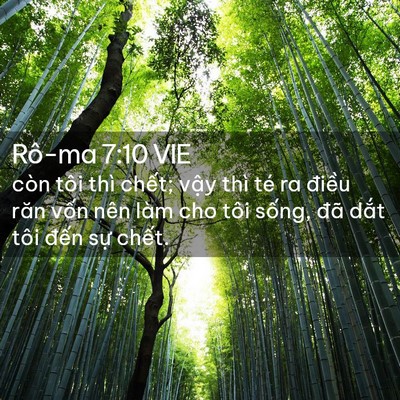 Picture 02 - Rô-ma 7:10 VIE - còn tôi thì chết; vậy thì té ra điều - Bible Verse Picture