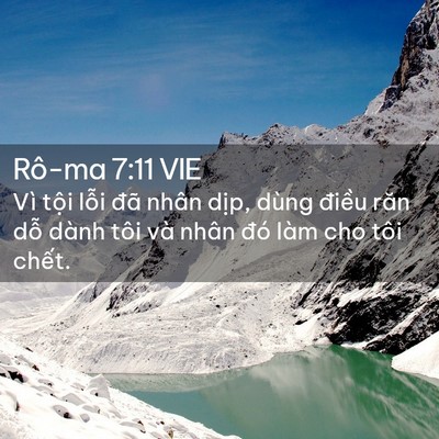 Picture 02 - Rô-ma 7:11 VIE - Vì tội lỗi đã nhân dịp, dùng điều - Bible Verse Picture