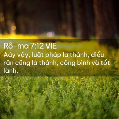 Picture 02 - Rô-ma 7:12 VIE - Aáy vậy, luật pháp là thánh, điều răn - Bible Verse Picture