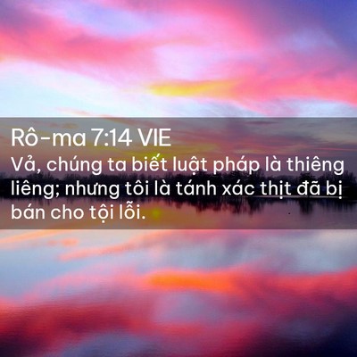 Picture 02 - Rô-ma 7:14 VIE - Vả, chúng ta biết luật pháp là thiêng - Bible Verse Picture