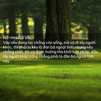 Picture 02 - Rô-ma 7:3 VIE - Vậy nếu đang lúc chồng còn sống, mà - Bible Verse Picture