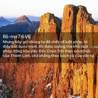 Picture 02 - Rô-ma 7:6 VIE - Nhưng bây giờ chúng ta đã chết về - Bible Verse Picture