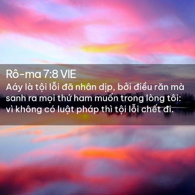 Picture 02 - Rô-ma 7:8 VIE - Aáy là tội lỗi đã nhân dịp, bởi - Bible Verse Picture