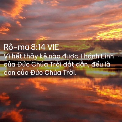 Picture 02 - Rô-ma 8:14 VIE - Vì hết thảy kẻ nào được Thánh Linh - Bible Verse Picture