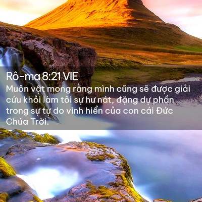 Picture 02 - Rô-ma 8:21 VIE - Muôn vật mong rằng mình cũng sẽ được - Bible Verse Picture