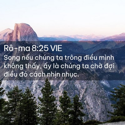 Picture 02 - Rô-ma 8:25 VIE - Song nếu chúng ta trông điều mình không - Bible Verse Picture