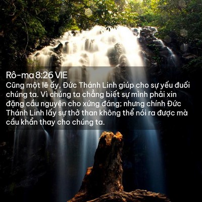 Picture 02 - Rô-ma 8:26 VIE - Cũng một lẽ ấy, Đức Thánh Linh giúp - Bible Verse Picture