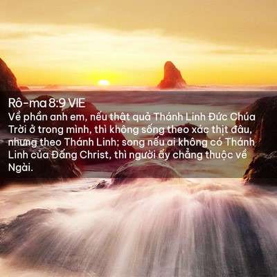 Picture 02 - Rô-ma 8:9 VIE - Về phần anh em, nếu thật quả Thánh - Bible Verse Picture