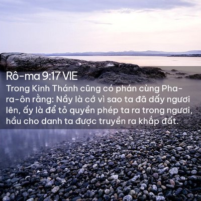 Picture 02 - Rô-ma 9:17 VIE - Trong Kinh Thánh cũng có phán cùng - Bible Verse Picture