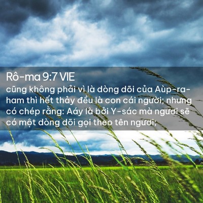 Picture 02 - Rô-ma 9:7 VIE - cũng không phải vì là dòng dõi của - Bible Verse Picture