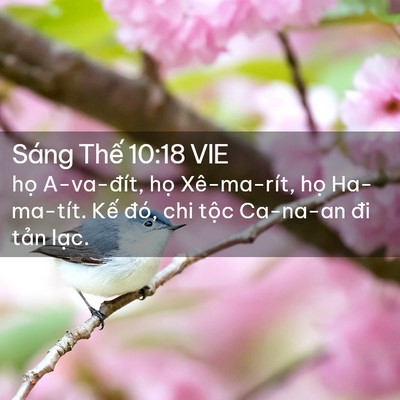 Picture 02 - Sáng Thế 10:18 VIE - họ A-va-đít, họ Xê-ma-rít, họ - Bible Verse Picture
