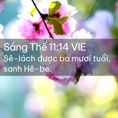 Picture 02 - Sáng Thế 11:14 VIE - Sê-lách được ba mươi tuổi, sanh - Bible Verse Picture