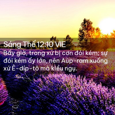 Picture 02 - Sáng Thế 12:10 VIE - Bấy giờ, trong xứ bị cơn đói kém; - Bible Verse Picture