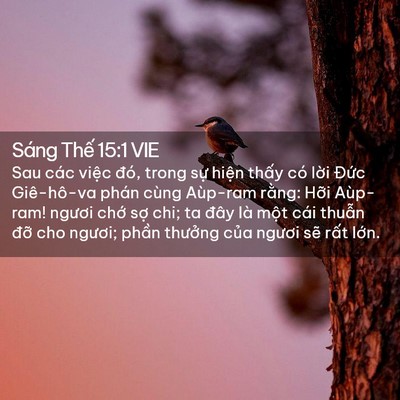 Picture 02 - Sáng Thế 15:1 VIE - Sau các việc đó, trong sự hiện thấy - Bible Verse Picture