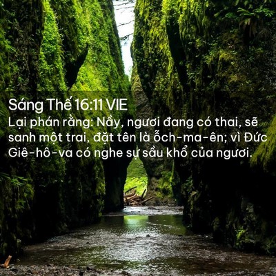 Picture 02 - Sáng Thế 16:11 VIE - Lại phán rằng: Nầy, ngươi đang có - Bible Verse Picture