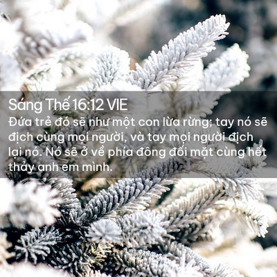 Picture 02 - Sáng Thế 16:12 VIE - Đứa trẻ đó sẽ như một con lừa - Bible Verse Picture