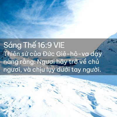 Picture 02 - Sáng Thế 16:9 VIE - Thiên sứ của Đức Giê-hô-va dạy nàng - Bible Verse Picture