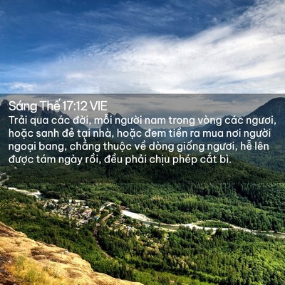 Picture 02 - Sáng Thế 17:12 VIE - Trải qua các đời, mỗi người nam trong - Bible Verse Picture