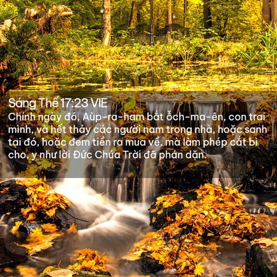 Picture 02 - Sáng Thế 17:23 VIE - Chính ngày đó, Aùp-ra-ham bắt - Bible Verse Picture