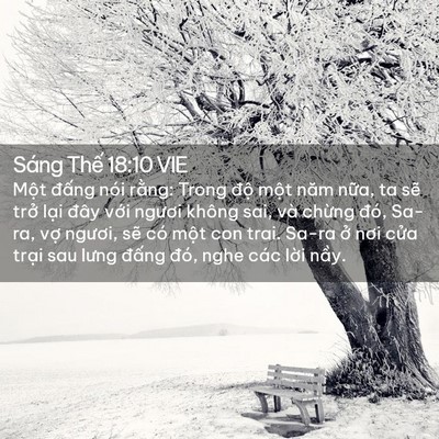 Picture 02 - Sáng Thế 18:10 VIE - Một đấng nói rằng: Trong độ một năm - Bible Verse Picture