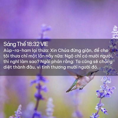 Picture 02 - Sáng Thế 18:32 VIE - Aùp-ra-ham lại thưa: Xin Chúa đừng - Bible Verse Picture