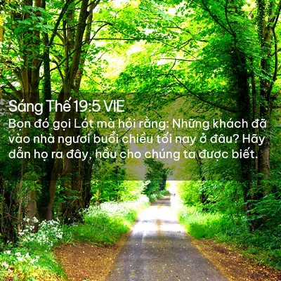 Picture 02 - Sáng Thế 19:5 VIE - Bọn đó gọi Lót mà hỏi rằng: Những - Bible Verse Picture