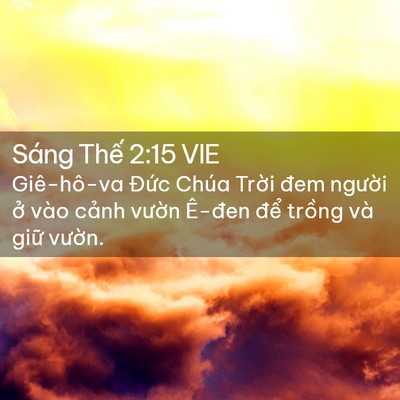 Picture 02 - Sáng Thế 2:15 VIE - Giê-hô-va Đức Chúa Trời đem người ở - Bible Verse Picture