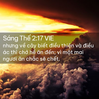 Picture 02 - Sáng Thế 2:17 VIE - nhưng về cây biết điều thiện và - Bible Verse Picture