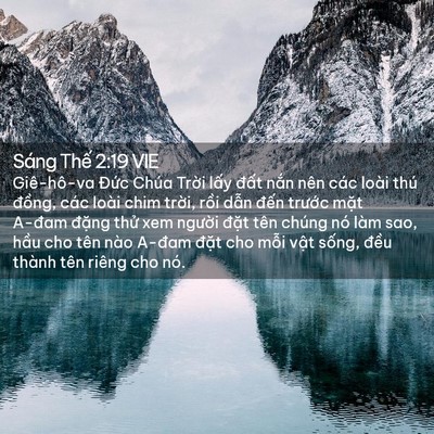 Picture 02 - Sáng Thế 2:19 VIE - Giê-hô-va Đức Chúa Trời lấy đất - Bible Verse Picture