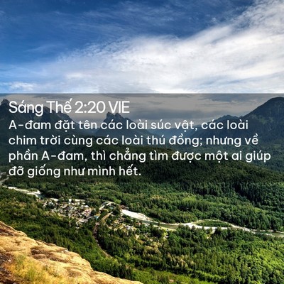 Picture 02 - Sáng Thế 2:20 VIE - A-đam đặt tên các loài súc vật, các - Bible Verse Picture