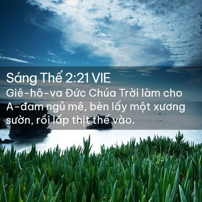 Picture 02 - Sáng Thế 2:21 VIE - Giê-hô-va Đức Chúa Trời làm cho A-đam - Bible Verse Picture