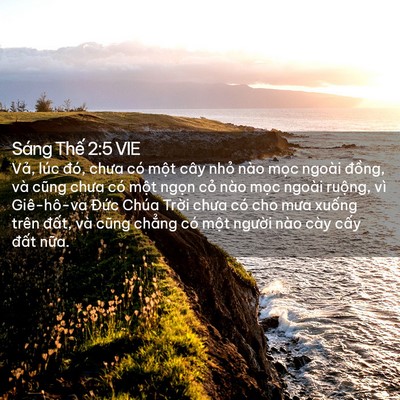 Picture 02 - Sáng Thế 2:5 VIE - Vả, lúc đó, chưa có một cây nhỏ nào - Bible Verse Picture