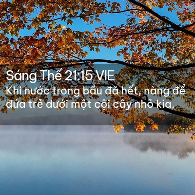 Picture 02 - Sáng Thế 21:15 VIE - Khi nước trong bầu đã hết, nàng để - Bible Verse Picture