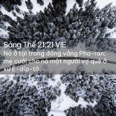 Picture 02 - Sáng Thế 21:21 VIE - Nó ở tại trong đồng vắng Pha-ran; mẹ - Bible Verse Picture
