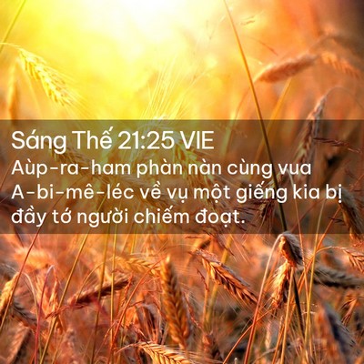 Picture 02 - Sáng Thế 21:25 VIE - Aùp-ra-ham phàn nàn cùng vua A-bi-mê-léc - Bible Verse Picture