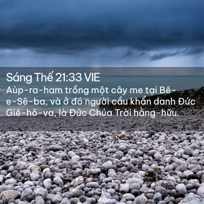 Picture 02 - Sáng Thế 21:33 VIE - Aùp-ra-ham trồng một cây me tại - Bible Verse Picture