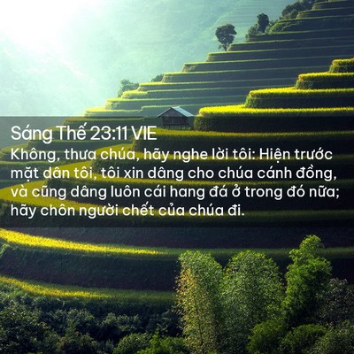 Picture 02 - Sáng Thế 23:11 VIE - Không, thưa chúa, hãy nghe lời tôi: Hiện - Bible Verse Picture