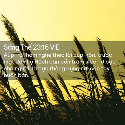 Picture 02 - Sáng Thế 23:16 VIE - Aùp-ra-ham nghe theo lời Eùp-rôn, trước - Bible Verse Picture