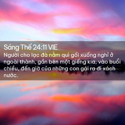 Picture 02 - Sáng Thế 24:11 VIE - Người cho lạc đà nằm quì gối xuống - Bible Verse Picture