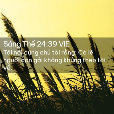 Picture 02 - Sáng Thế 24:39 VIE - Tôi nói cùng chủ tôi rằng: Có lẽ - Bible Verse Picture
