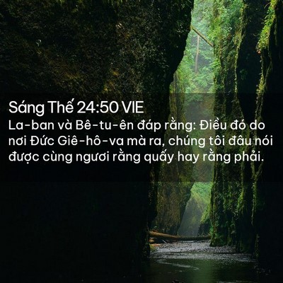Picture 02 - Sáng Thế 24:50 VIE - La-ban và Bê-tu-ên đáp rằng: Điều đó - Bible Verse Picture