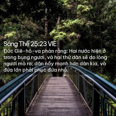 Picture 02 - Sáng Thế 25:23 VIE - Đức Giê-hô-va phán rằng: Hai nước - Bible Verse Picture