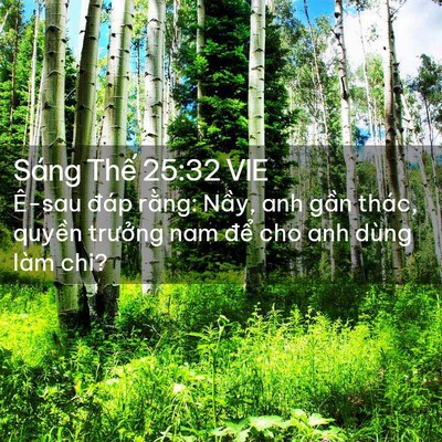 Picture 02 - Sáng Thế 25:32 VIE - Ê-sau đáp rằng: Nầy, anh gần thác, - Bible Verse Picture