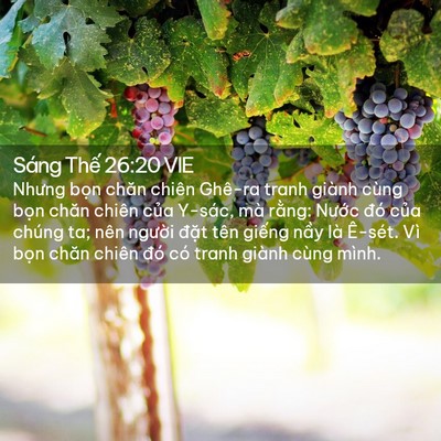 Picture 02 - Sáng Thế 26:20 VIE - Nhưng bọn chăn chiên Ghê-ra tranh giành - Bible Verse Picture