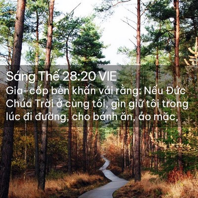 Picture 02 - Sáng Thế 28:20 VIE - Gia-cốp bèn khấn vái rằng: Nếu Đức - Bible Verse Picture
